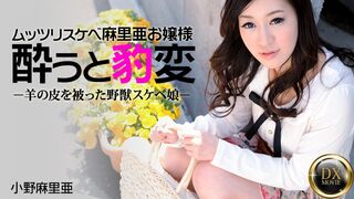 Heyzo-0330 [无码高清] 闷骚大小姐被带回家的方式 - 小野麻里亜